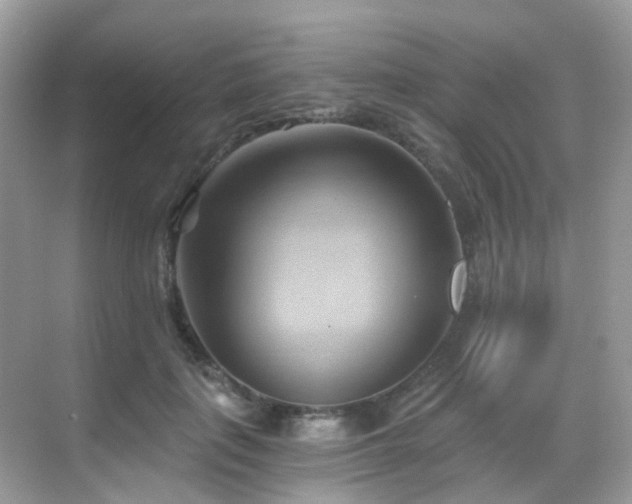 X0000068860651200605051240