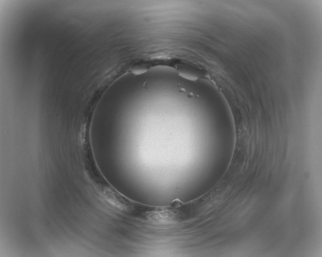 X0000068860652200605051240