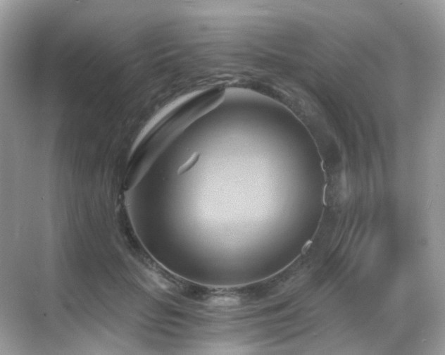 X0000068860653200605051240