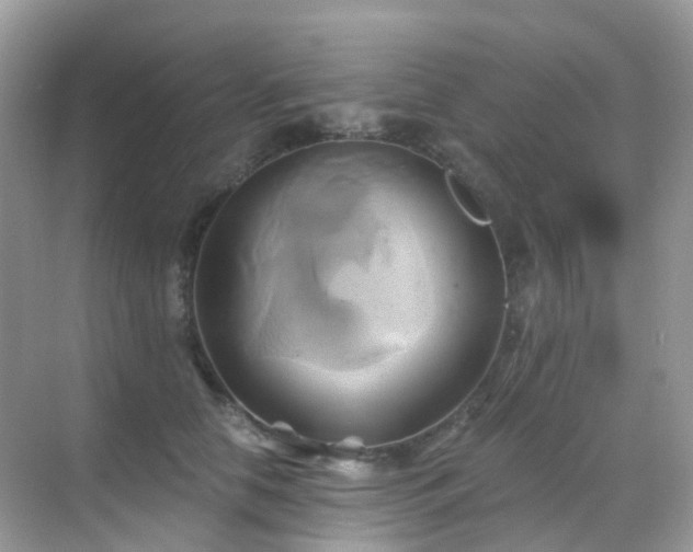 X0000068860658200605051240
