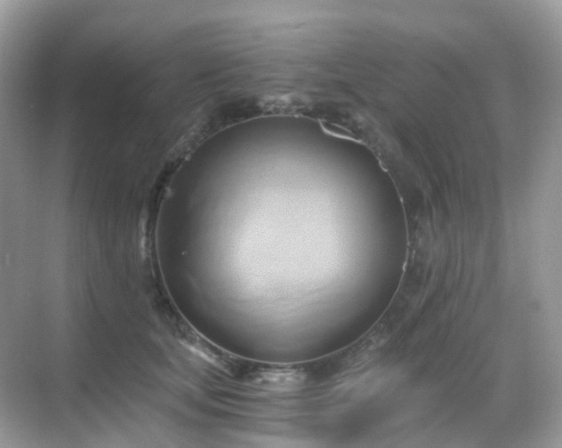 X0000068860659200605051240