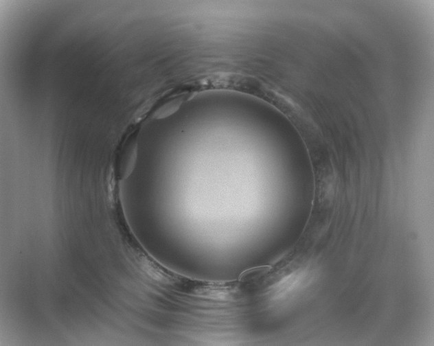 X0000068860661200605051240