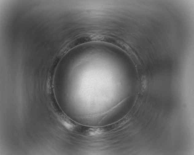 X0000068860667200605051240