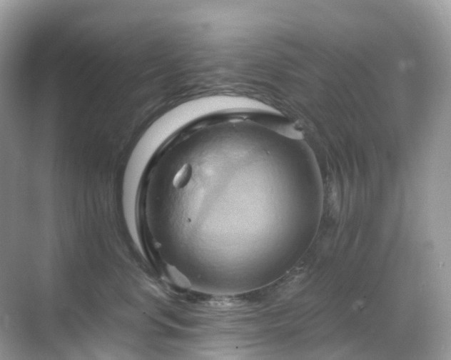 X0000068860668200605051240