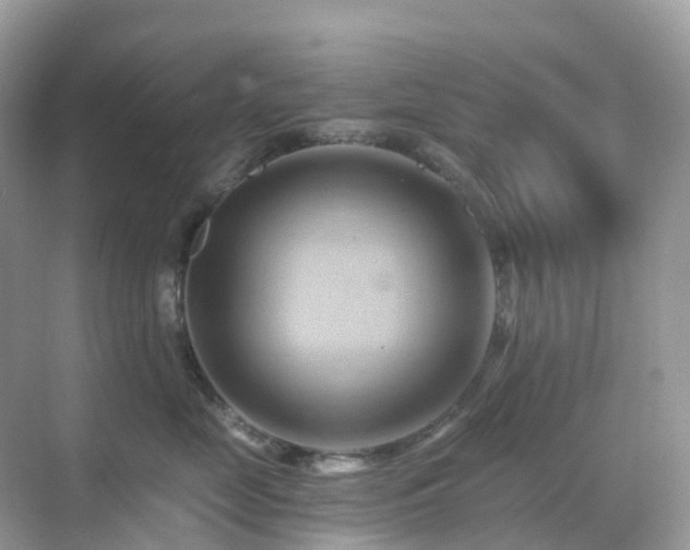 X0000068860669200605051240