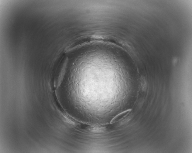 X0000068860670200605051240
