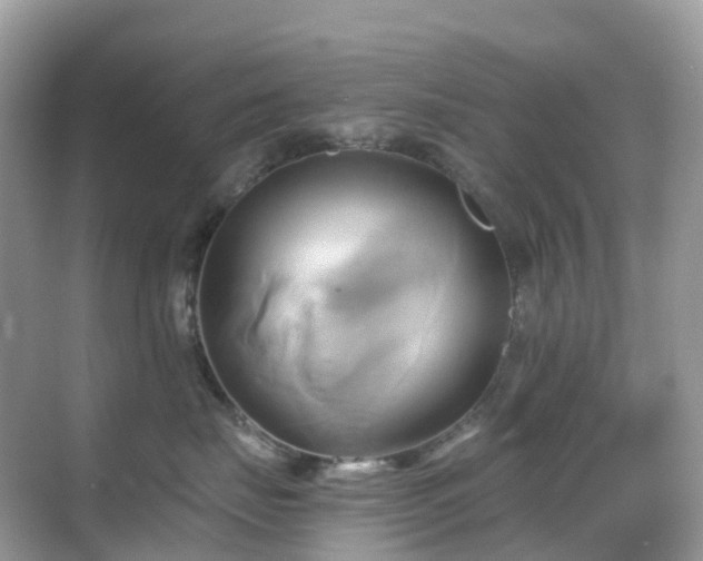 X0000068860671200605051240