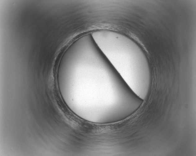 X0000068860674200605051239