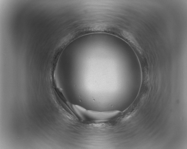 X0000068860681200605051239