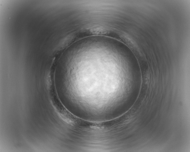 X0000068860690200605051239