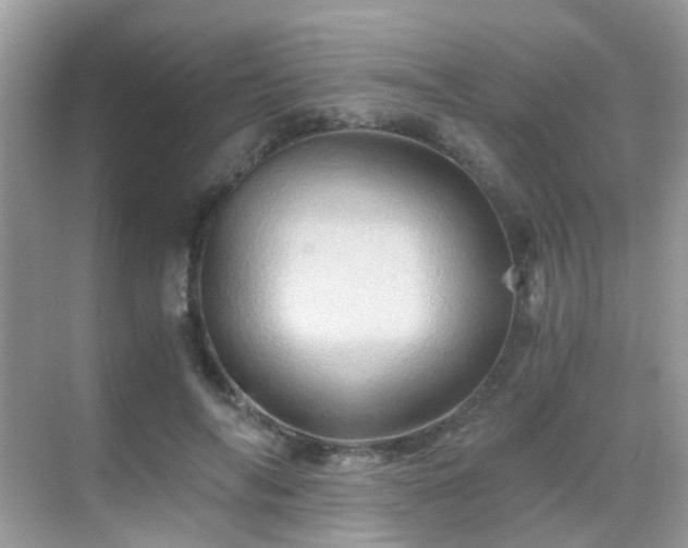 X0000068860694200605051239