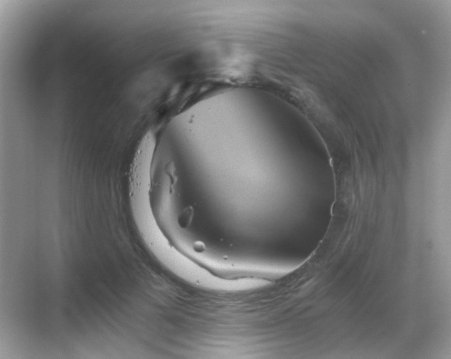 X0000068860697200605051239