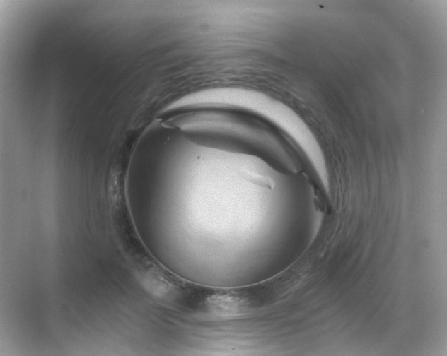X0000068860699200605051239