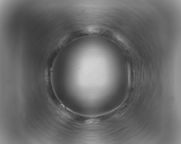 X0000068860700200605051239