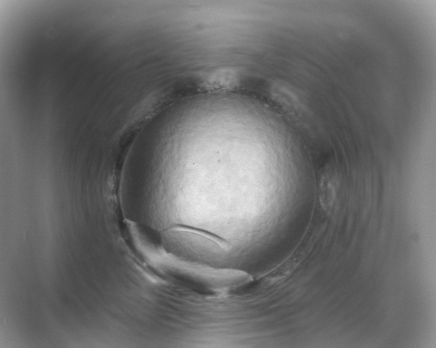 X0000068860714200605051239