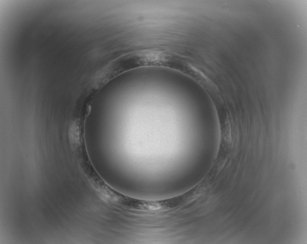 X0000068860715200605051239