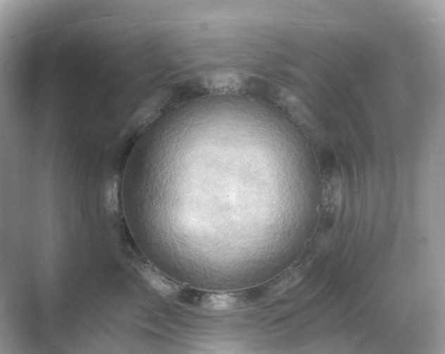 X0000068860717200605051239