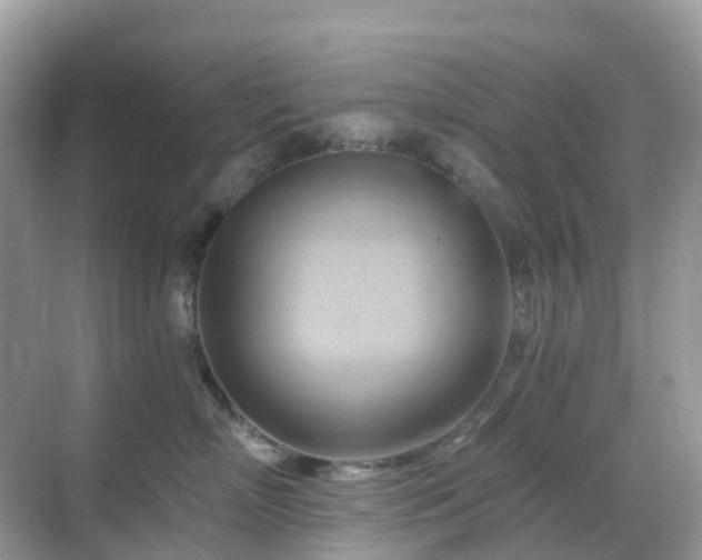 X0000068860718200605051239