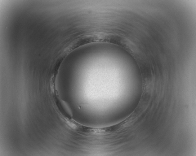 X0000068860719200605051239
