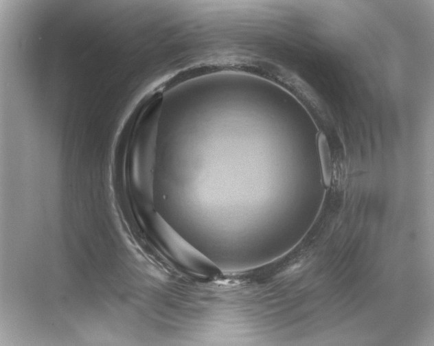 X0000068860724200605051238