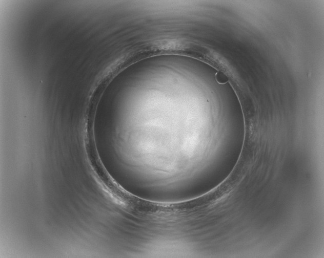 X0000068860725200605051238