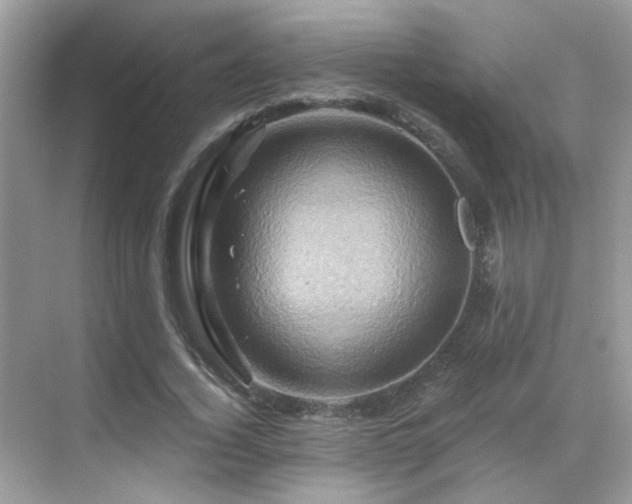 X0000068860732200605051238
