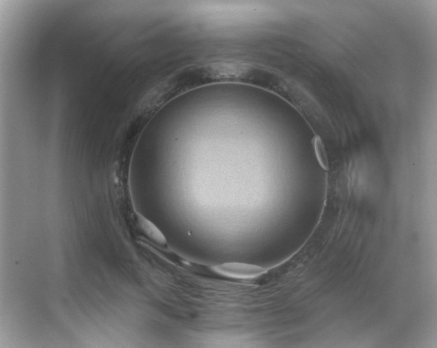 X0000068860743200605051238