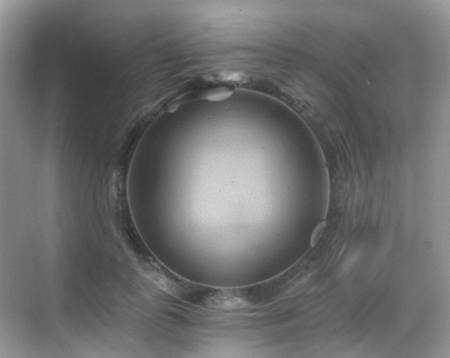 X0000068860747200605051238