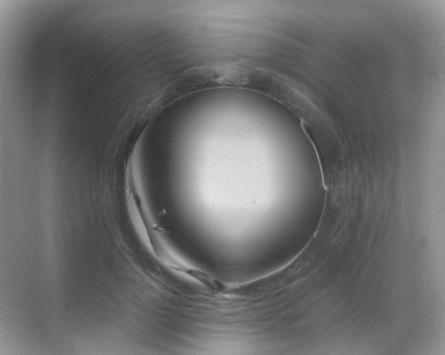 X0000068860748200605051238