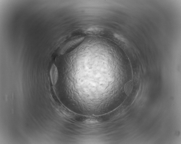 X0000068860749200605051238
