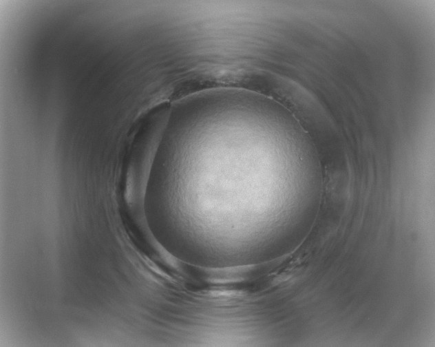 X0000068860752200605051238