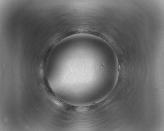 X0000068860762200605051238