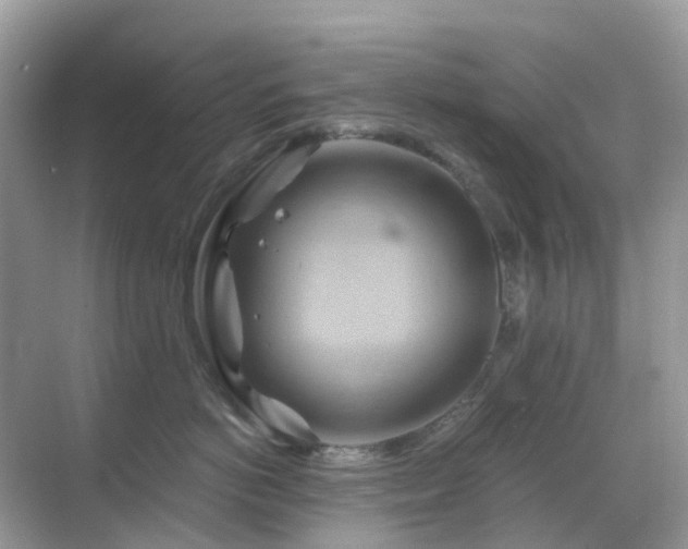 X0000068860766200605051239