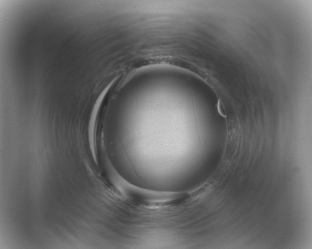 X0000068860767200605051239