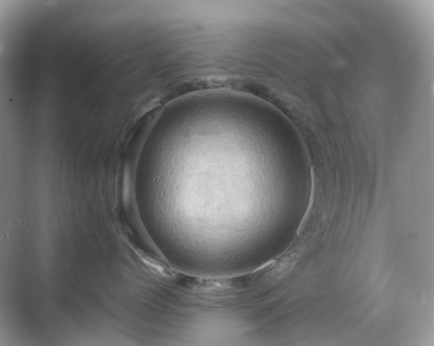 X0000068860768200605051239