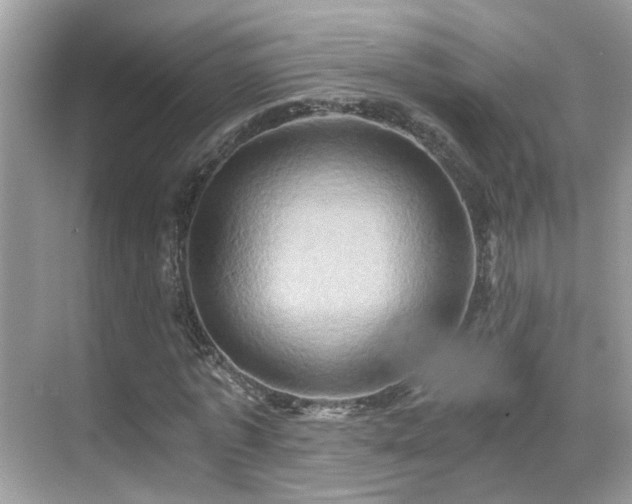 X0000068860773200605051238