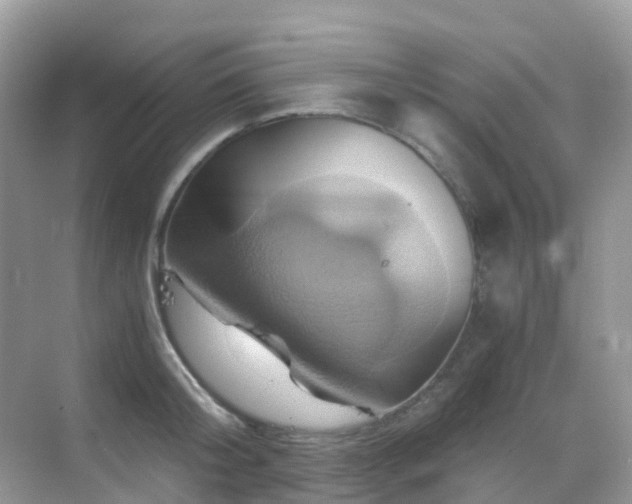 X0000068860804200605051237