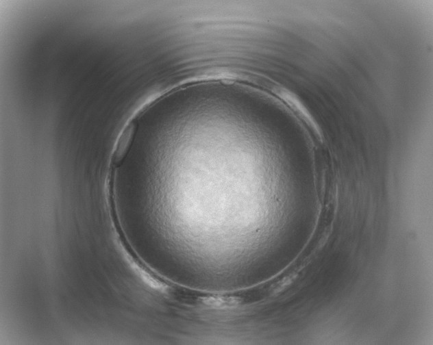 X0000068860805200605051237