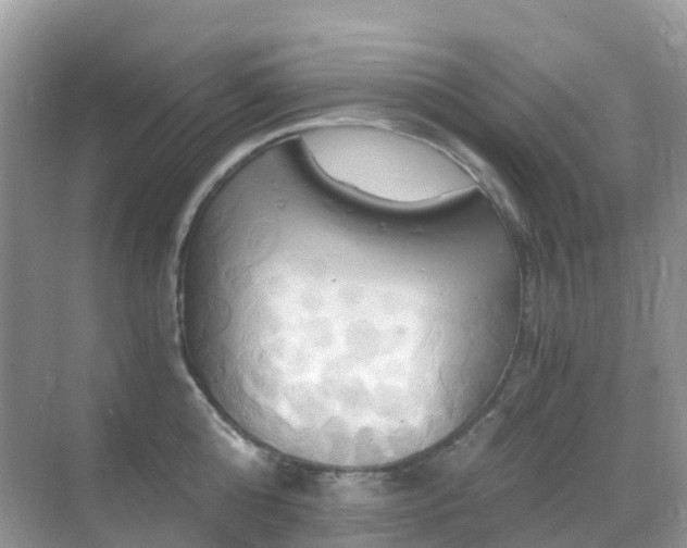 X0000068860808200605051237