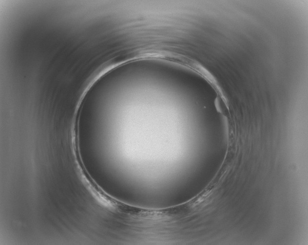 X0000068860811200605051237