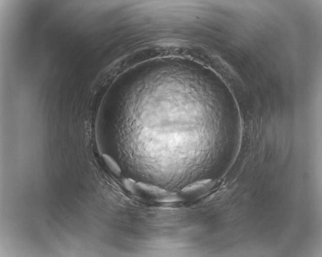 X0000068860821200605051236