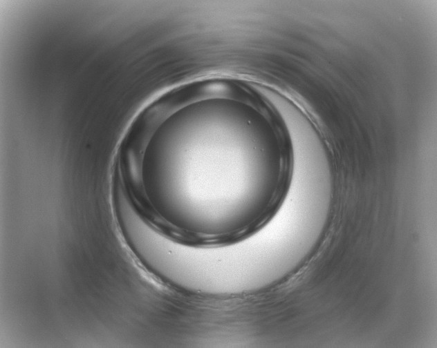X0000068860854200605051237