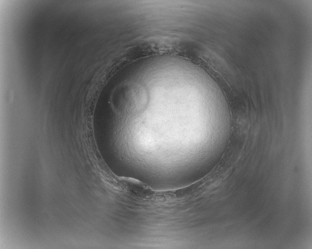X0000068860865200605051236