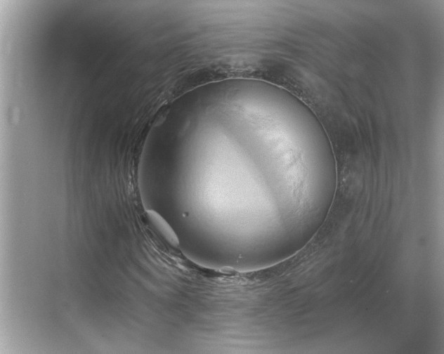X0000068860866200605051236