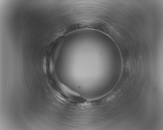 X0000068860868200605051236