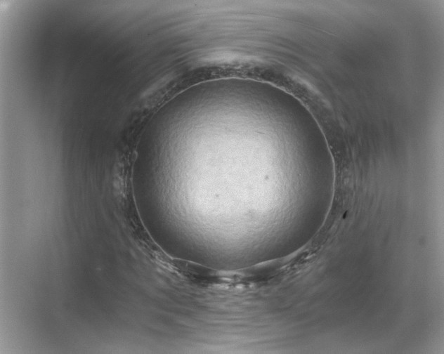 X0000068860869200605051236