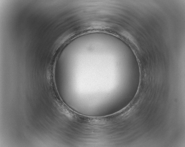 X0000068860874200605051236