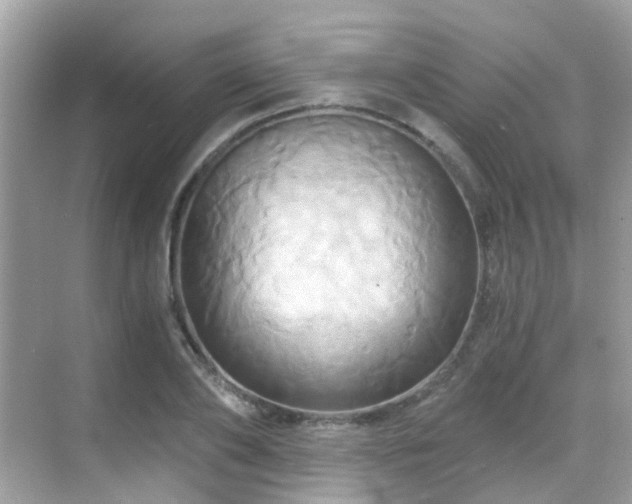 X0000068860886200605051236