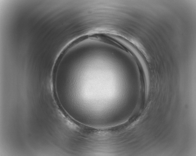 X0000068860888200605051236