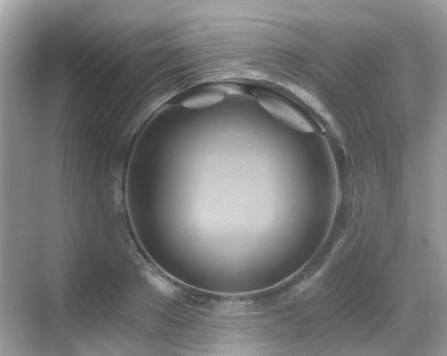 X0000068860889200605051236